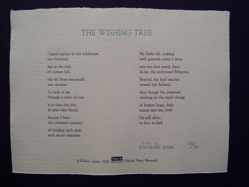 The Wishing Tree Books Pbfa - 