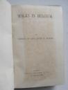 WALKS IN BELGIUM Amelia M. and John B. Marsh 1873 (6)