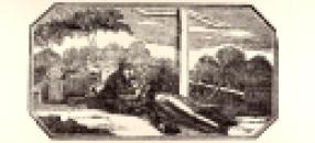 904381